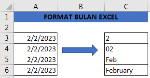 Format bulan dalam Excel